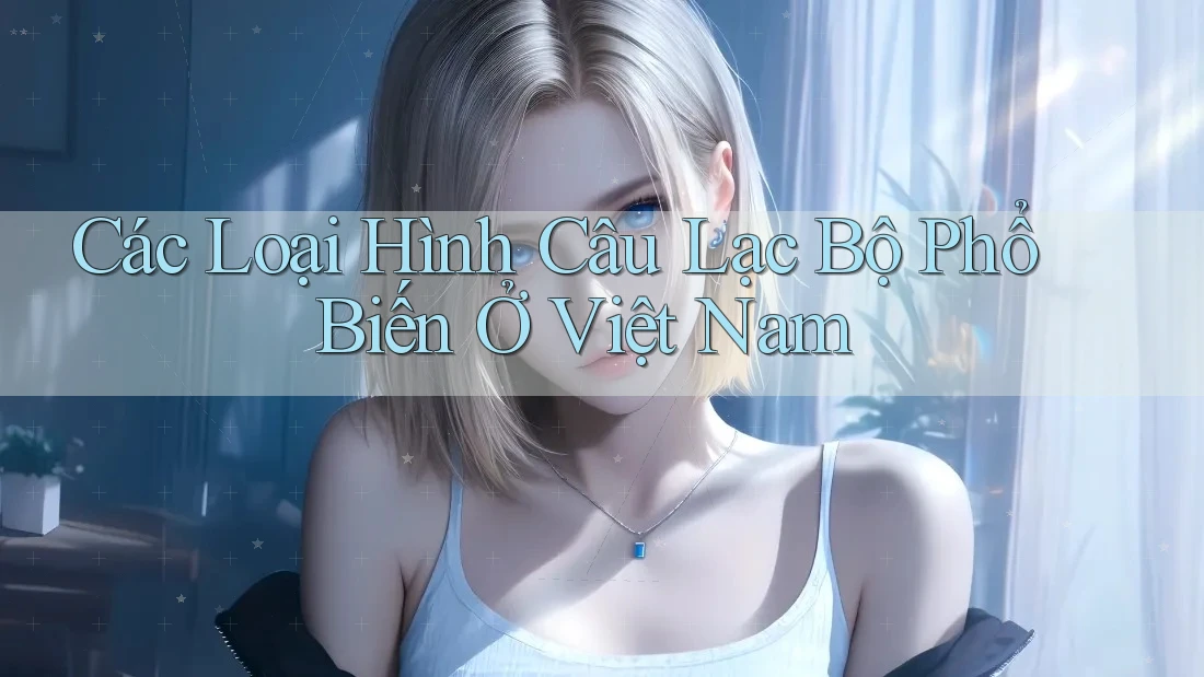 Các Loại Hình Câu Lạc Bộ Phổ Biến Ở Việt Nam Các Loại Hình Câu Lạc Bộ Phổ Biến Ở Việt Nam