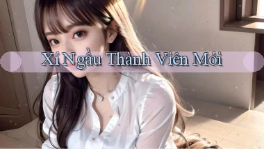 Xí ngầu Thành viên mới